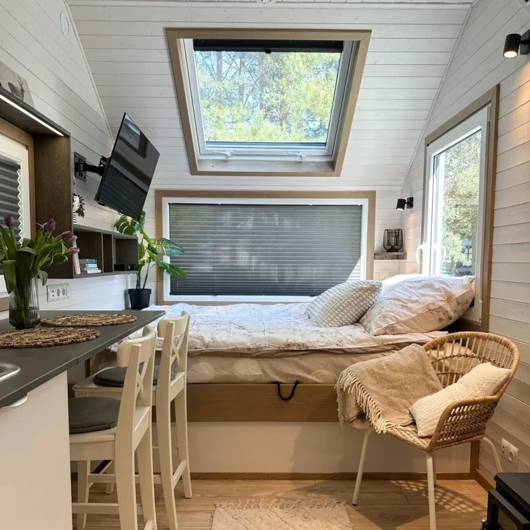 investissement tiny house