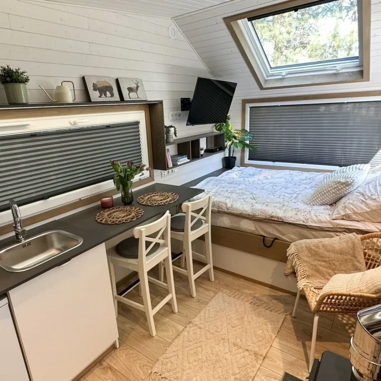 investissement tiny house